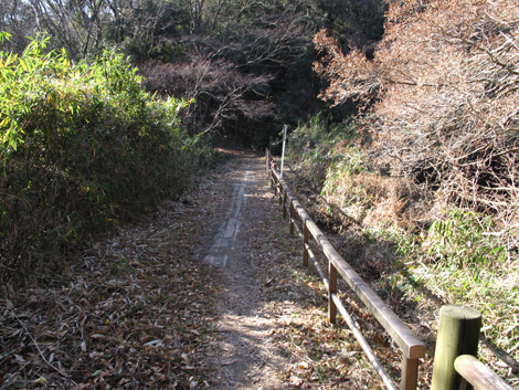 20131223hike (301)